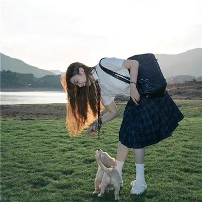 查科